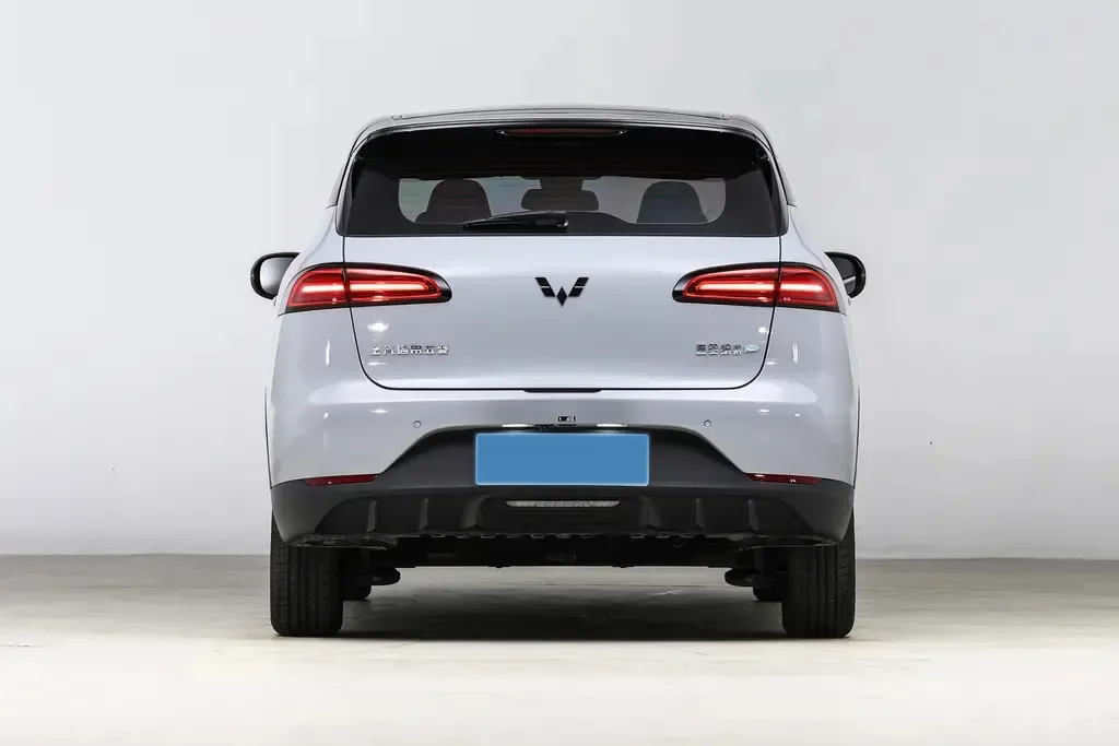 2024 WuLing BinGuoPLUS BEV 31.9KWH,autocango,china used car exporter,china ev exporter,chinese used car exporter,chinese used ev exporter