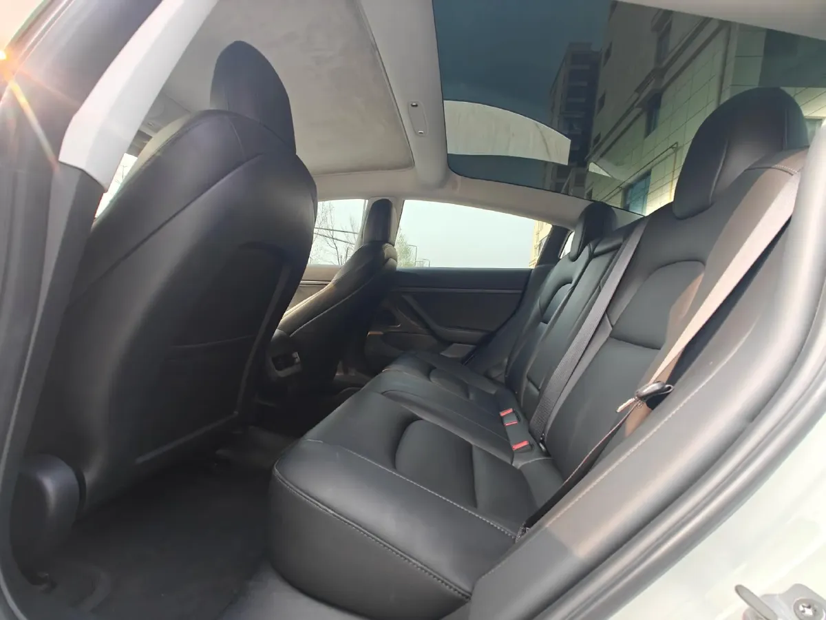 2020 Tesla Model 3 BEV 52KWH,autocango,china used car exporter,china ev exporter,chinese used car exporter,chinese used ev exporter