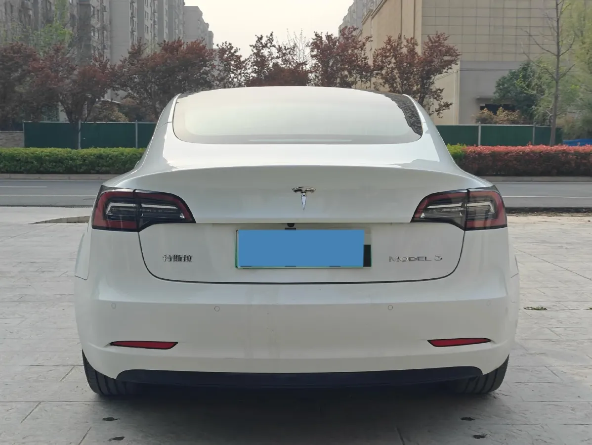 2020 Tesla Model 3 BEV 52KWH,autocango,china used car exporter,china ev exporter,chinese used car exporter,chinese used ev exporter