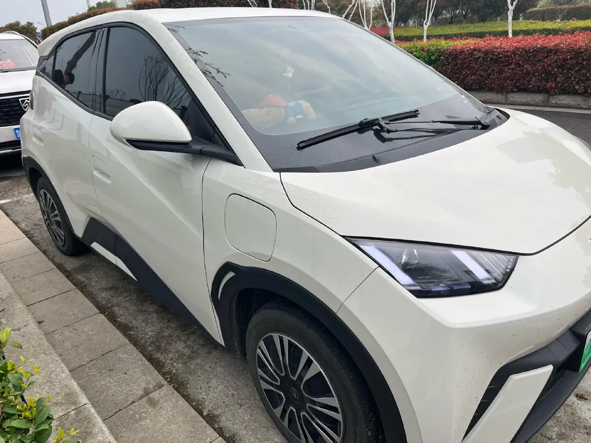 2024 BYD Seagull BEV 30.08KWH,autocango,china used car exporter,china ev exporter,chinese used car exporter,chinese used ev exporter