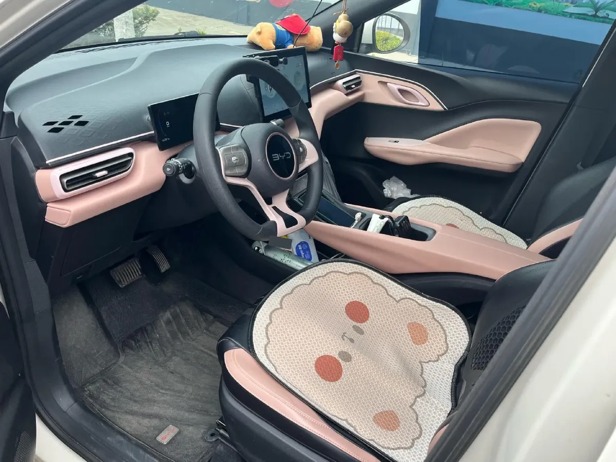 2024 BYD Seagull BEV 30.08KWH,autocango,china used car exporter,china ev exporter,chinese used car exporter,chinese used ev exporter