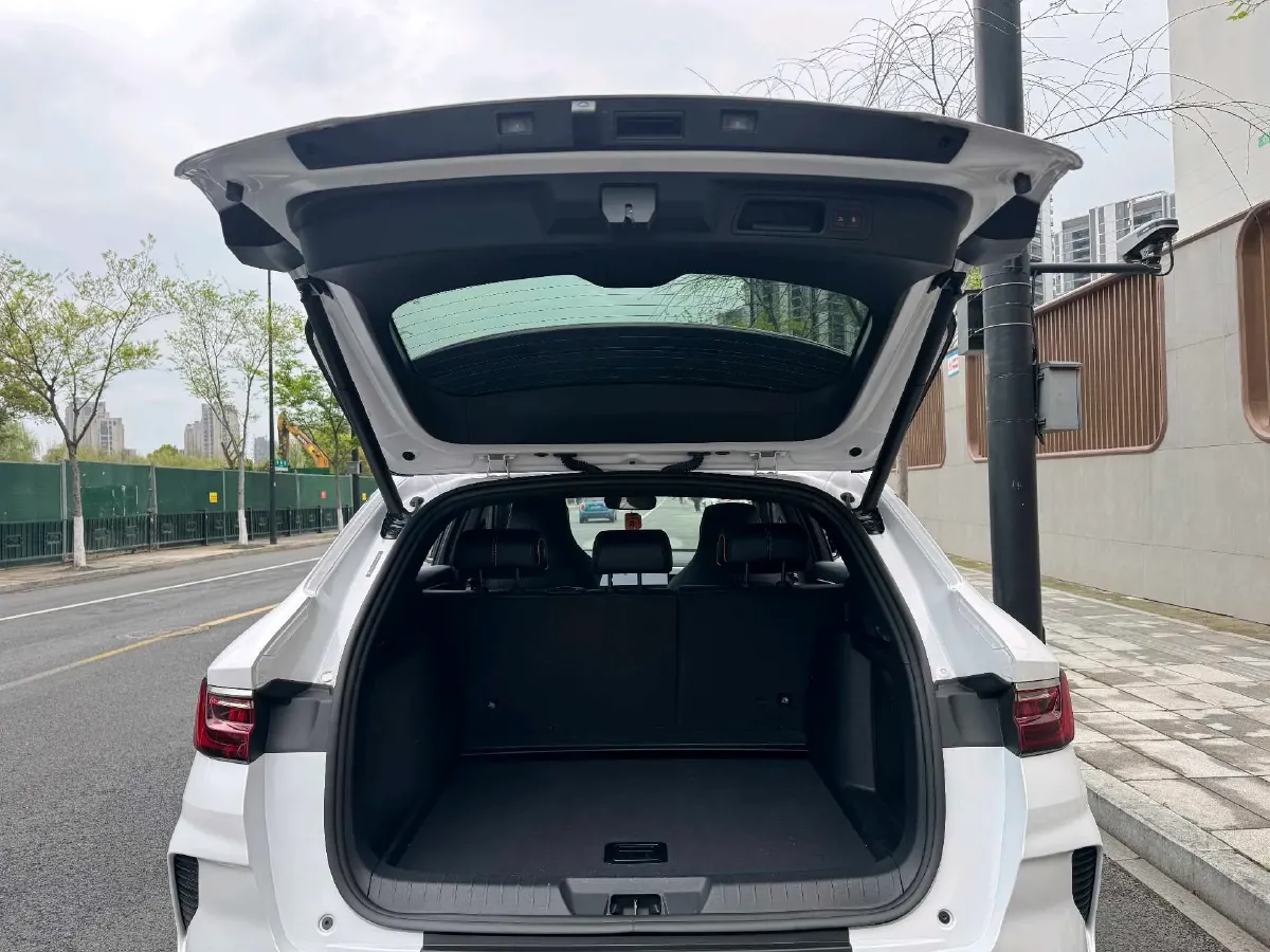 2021 BYD Qin BEV 53.56KWH,autocango,china used car exporter,china ev exporter,chinese used car exporter,chinese used ev exporter