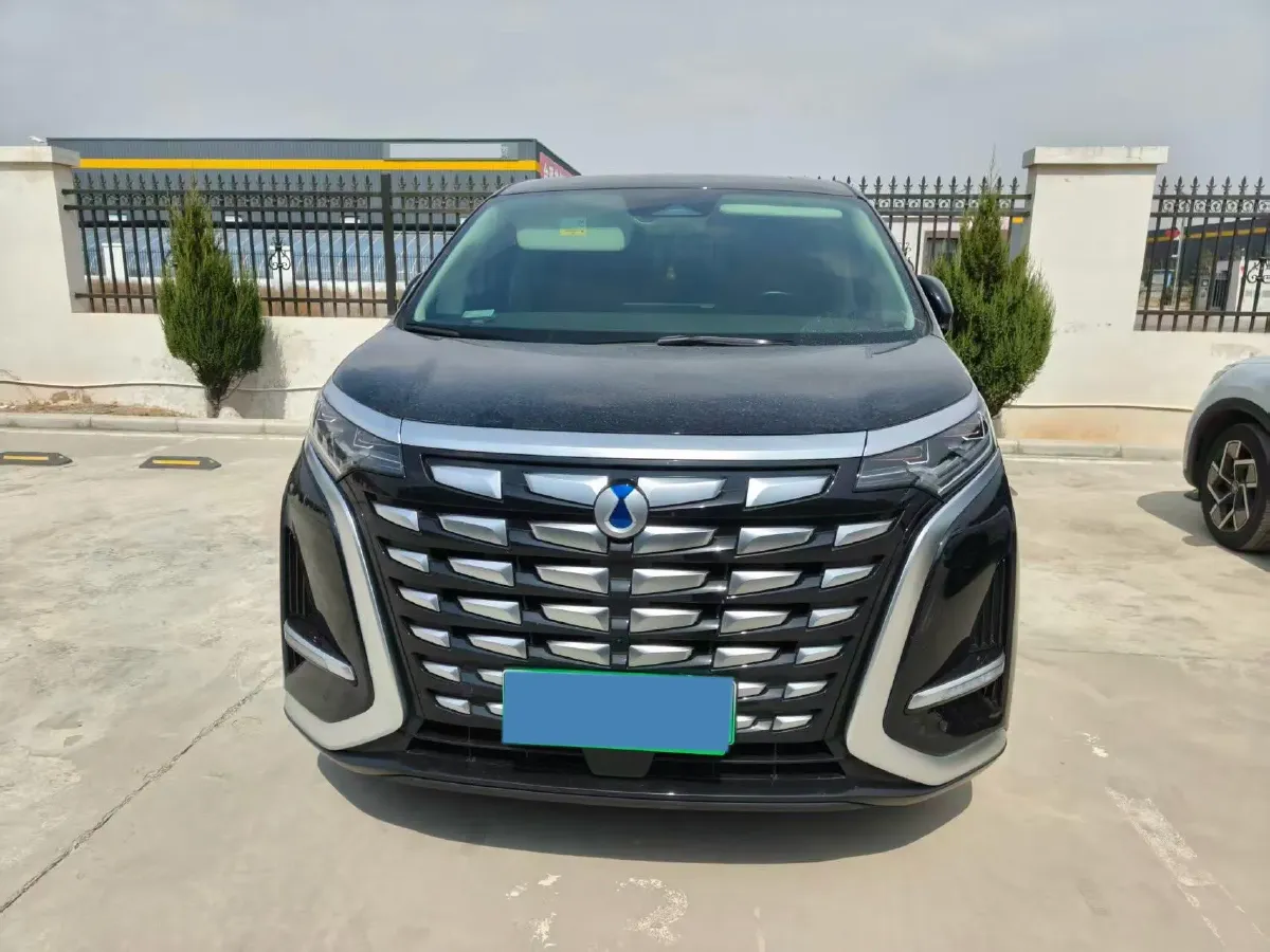 2024 Denza D9 1.5T 139HP L4 E-CVT PHEV 40KWH,autocango,china used car exporter,china ev exporter,chinese used car exporter,chinese used ev exporter