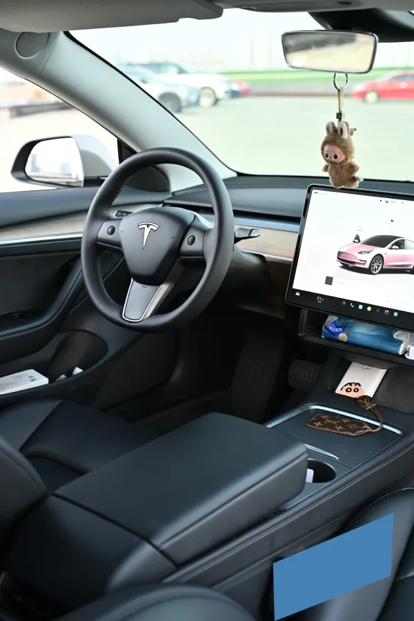 2022 Tesla Model 3 BEV 60KWH,autocango,china used car exporter,china ev exporter,chinese used car exporter,chinese used ev exporter