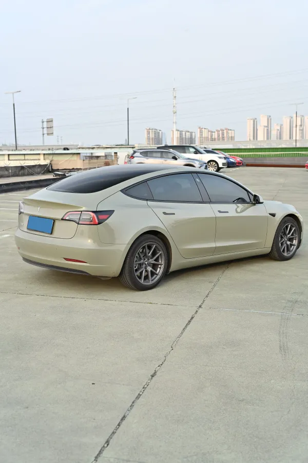 2022 Tesla Model 3 BEV 60KWH,autocango,china used car exporter,china ev exporter,chinese used car exporter,chinese used ev exporter