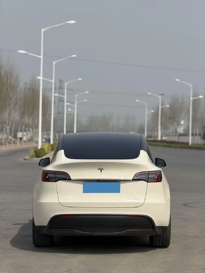 2021 Tesla Model Y BEV 60KWH,autocango,china used car exporter,china ev exporter,chinese used car exporter,chinese used ev exporter