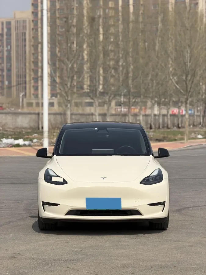 2021 Tesla Model Y BEV 60KWH,autocango,china used car exporter,china ev exporter,chinese used car exporter,chinese used ev exporter