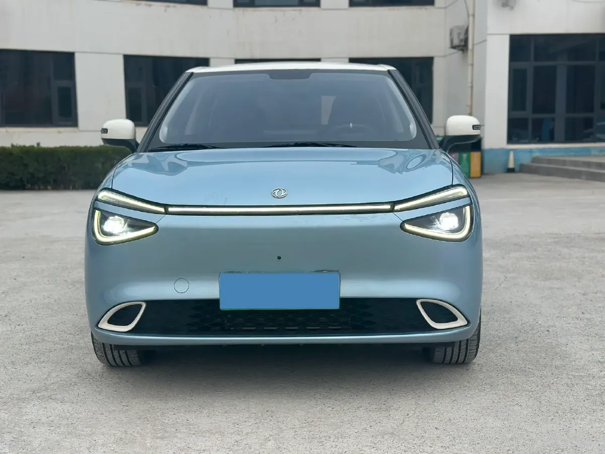 2024 DongFeng eπ 01 BEV 31.45KWH,autocango,china used car exporter,china ev exporter,chinese used car exporter,chinese used ev exporter