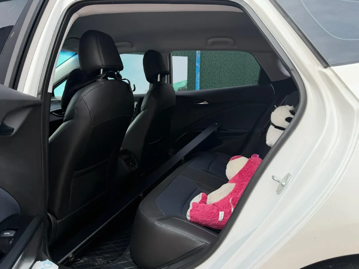 2023 Buick Velite 6 BEV 50.3KWH,autocango,china used car exporter,china ev exporter,chinese used car exporter,chinese used ev exporter