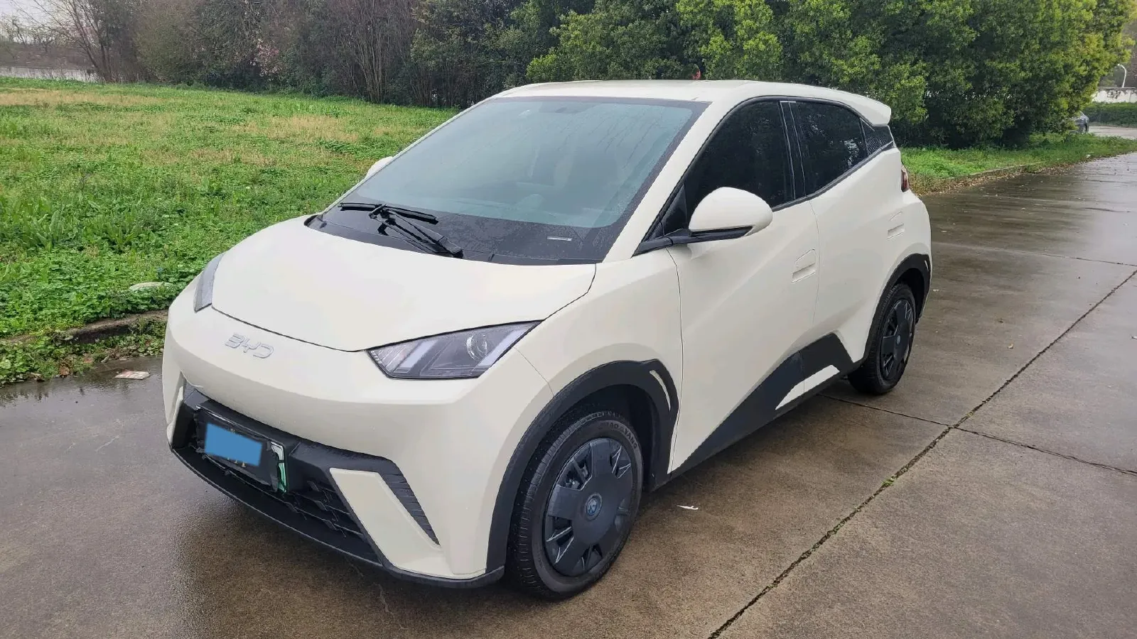 2024 BYD Seagull BEV 30.08KWH,autocango,china used car exporter,china ev exporter,chinese used car exporter,chinese used ev exporter