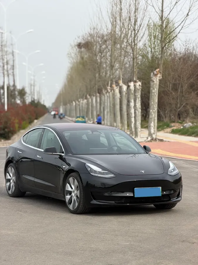 2019 Tesla Model 3 BEV 81KWH,autocango,china used car exporter,china ev exporter,chinese used car exporter,chinese used ev exporter