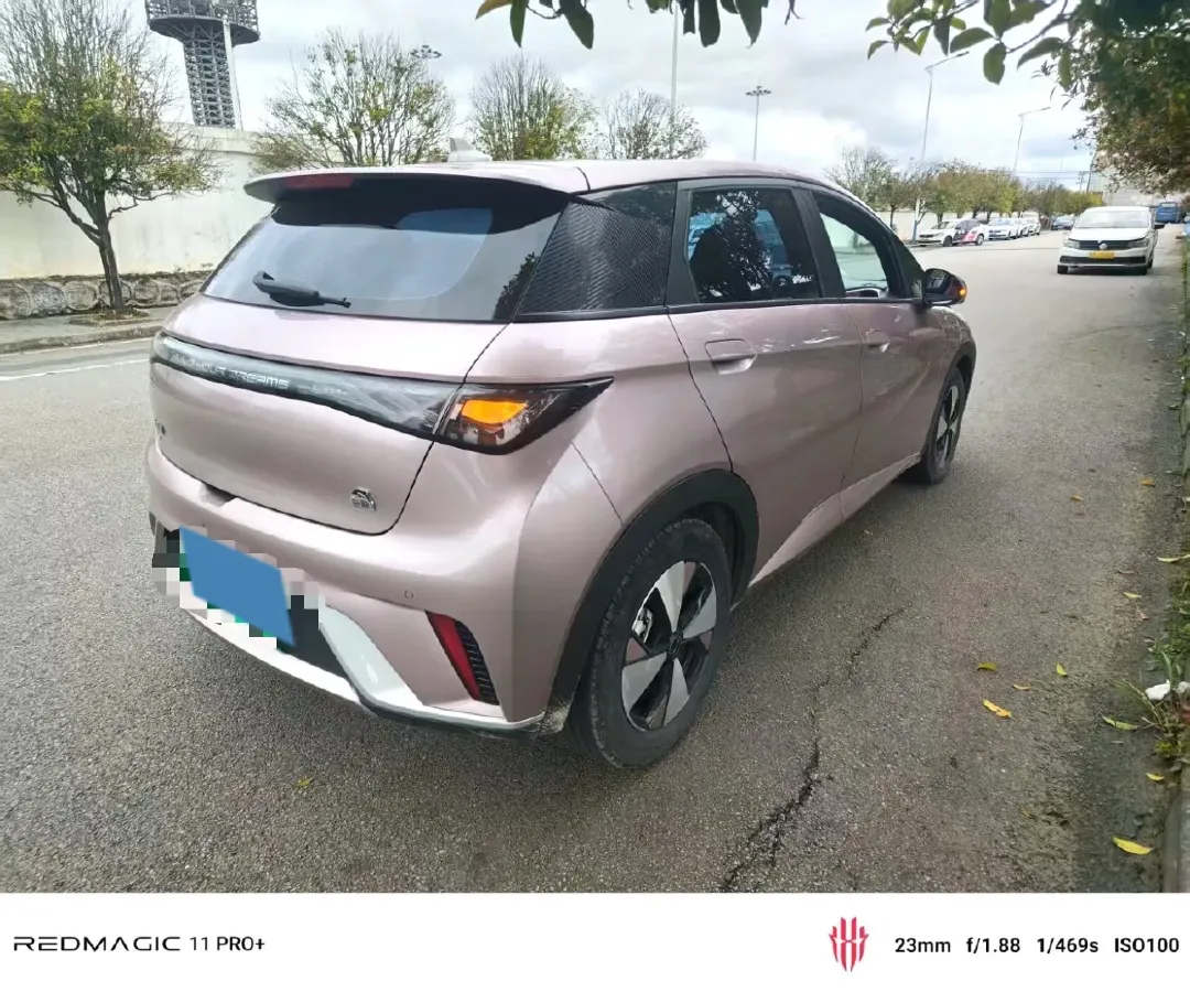 2023 BYD Dolphin BEV 44.928KWH,autocango,china used car exporter,china ev exporter,chinese used car exporter,chinese used ev exporter