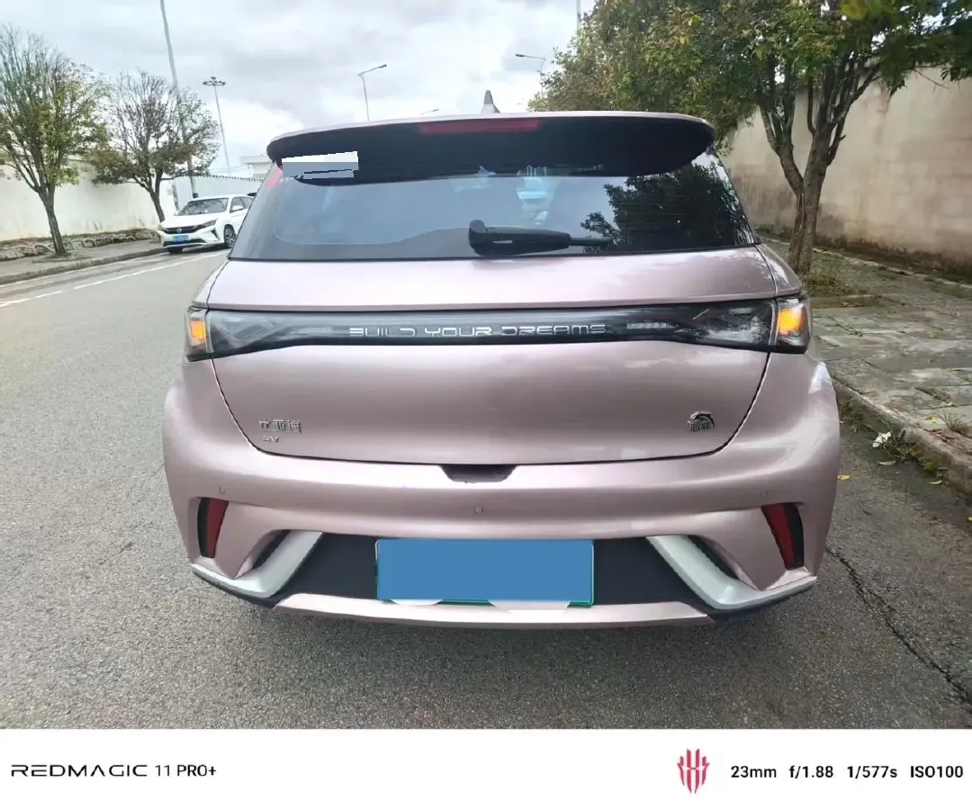 2023 BYD Dolphin BEV 44.928KWH,autocango,china used car exporter,china ev exporter,chinese used car exporter,chinese used ev exporter