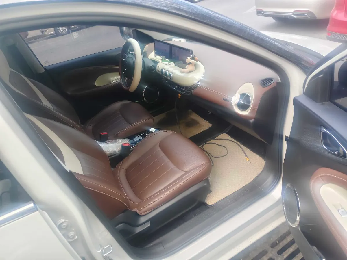 2023 WuLing BinGuo BEV 31.9KWH,autocango,china used car exporter,china ev exporter,chinese used car exporter,chinese used ev exporter