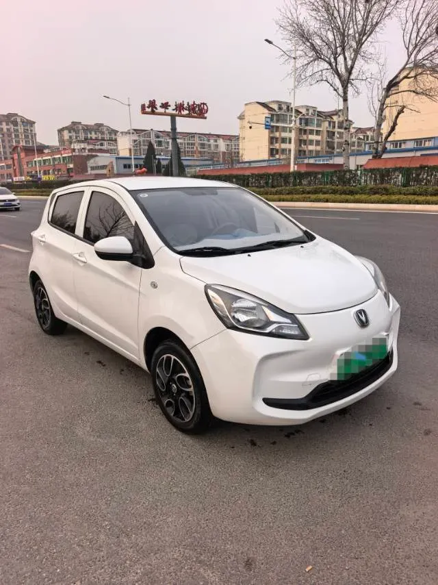 2021 ChangAn BenBen E-Star BEV 31.86KWH,autocango,china used car exporter,china ev exporter,chinese used car exporter,chinese used ev exporter