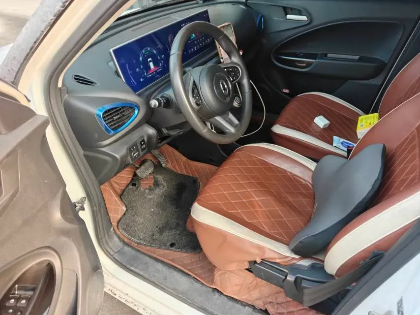 2020 Ora WhiteCat BEV 29.4KWH,autocango,china used car exporter,china ev exporter,chinese used car exporter,chinese used ev exporter