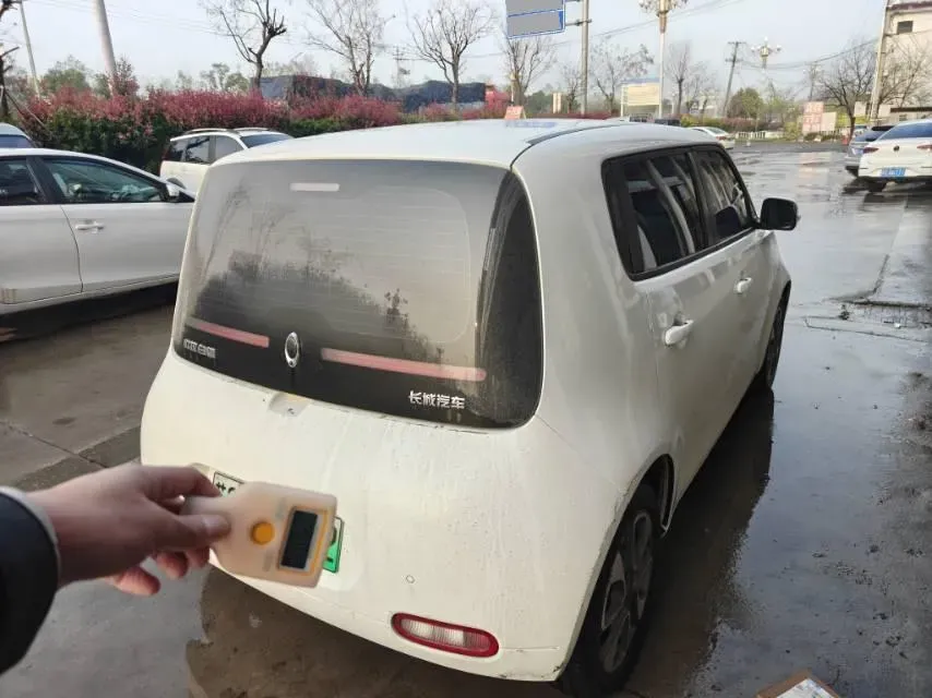 2020 Ora WhiteCat BEV 29.4KWH,autocango,china used car exporter,china ev exporter,chinese used car exporter,chinese used ev exporter