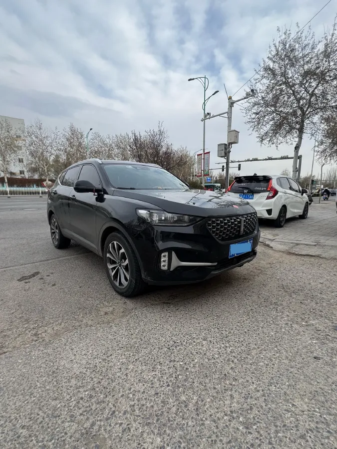 2021 WEY VV6 2.0T 227HP L4 7DCT,autocango,china used car exporter,china ev exporter,chinese used car exporter,chinese used ev exporter