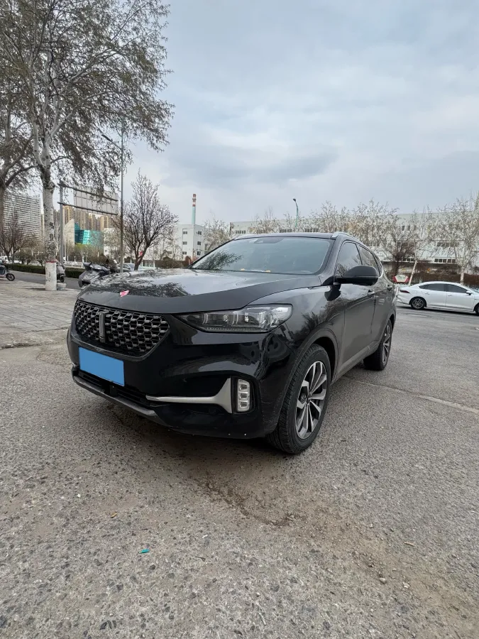 2021 WEY VV6 2.0T 227HP L4 7DCT,autocango,china used car exporter,china ev exporter,chinese used car exporter,chinese used ev exporter