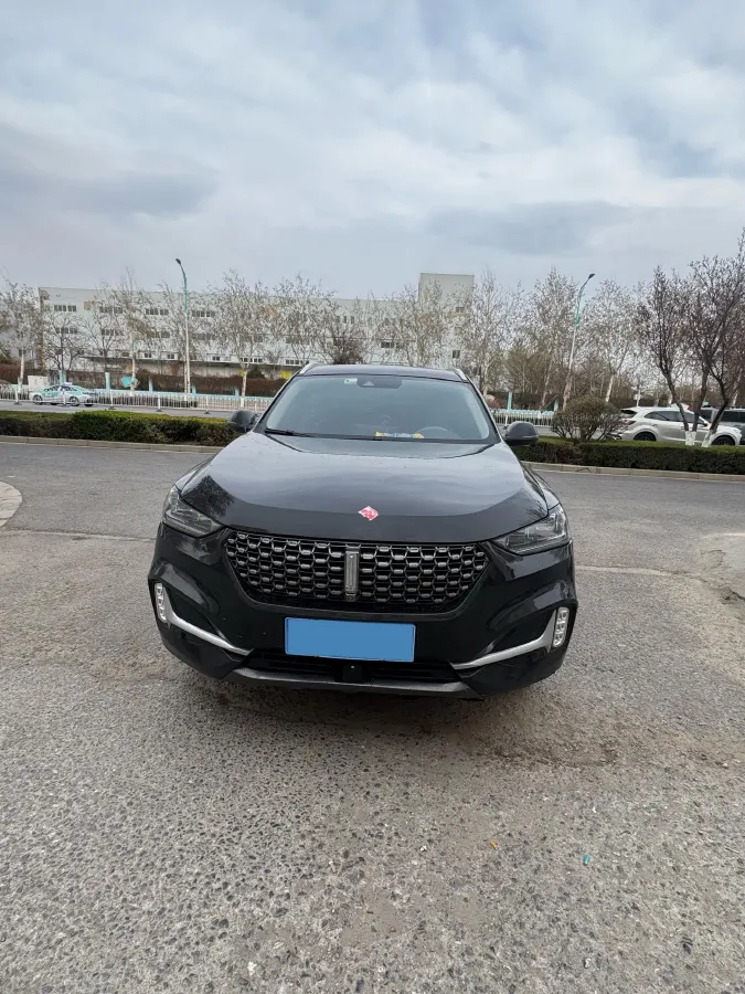 2021 WEY VV6 2.0T 227HP L4 7DCT,autocango,china used car exporter,china ev exporter,chinese used car exporter,chinese used ev exporter