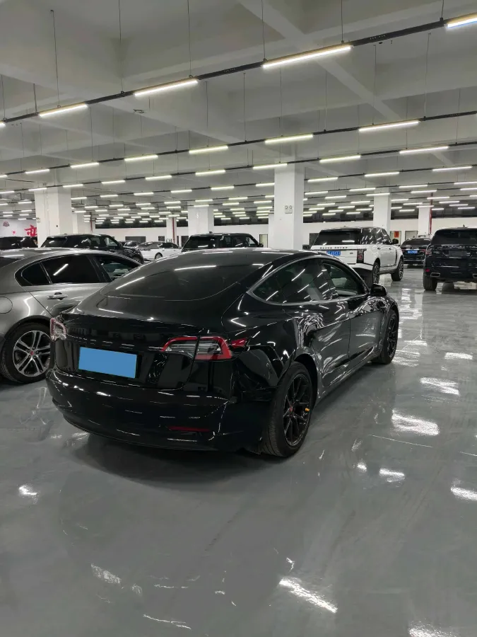 2021 Tesla Model 3 BEV 55KWH,autocango,china used car exporter,china ev exporter,chinese used car exporter,chinese used ev exporter