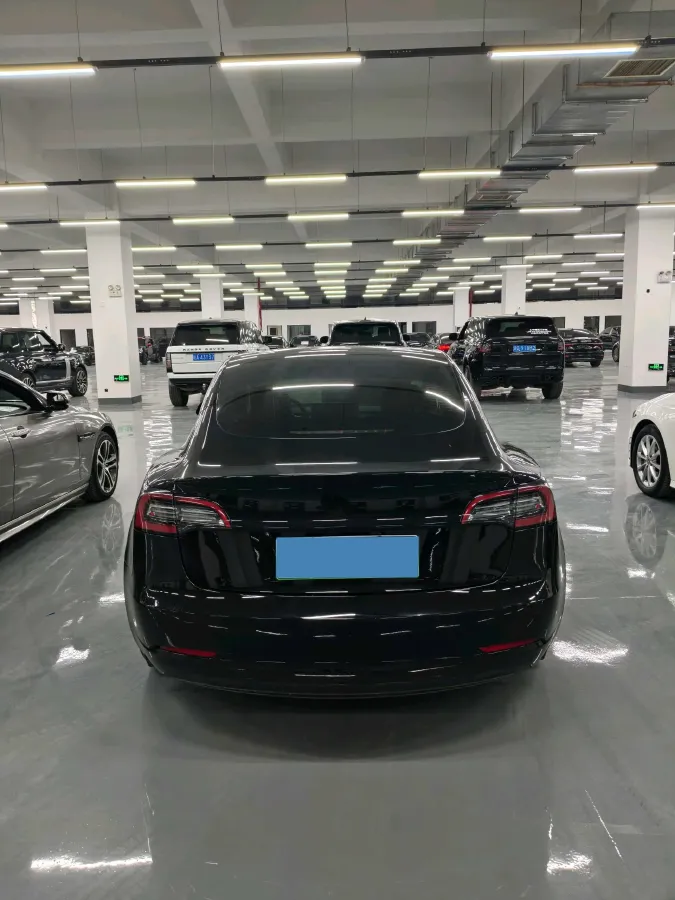2021 Tesla Model 3 BEV 55KWH,autocango,china used car exporter,china ev exporter,chinese used car exporter,chinese used ev exporter