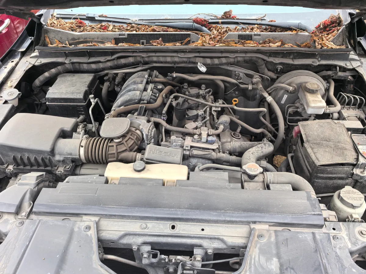 2019 Nissan Navara 2.5L 193HP L4 6MT,autocango,china used car exporter,china ev exporter,chinese used car exporter,chinese used ev exporter