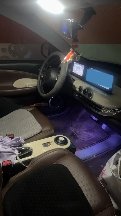 2024 WuLing BinGuo BEV 31.9KWH,autocango,china used car exporter,china ev exporter,chinese used car exporter,chinese used ev exporter