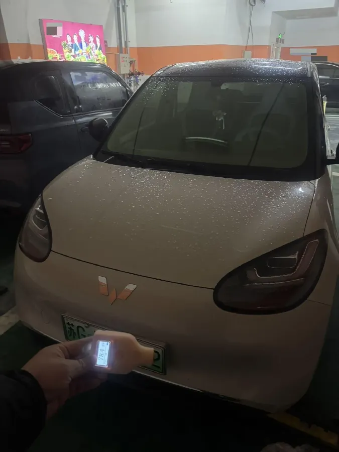 2024 WuLing BinGuo BEV 31.9KWH,autocango,china used car exporter,china ev exporter,chinese used car exporter,chinese used ev exporter