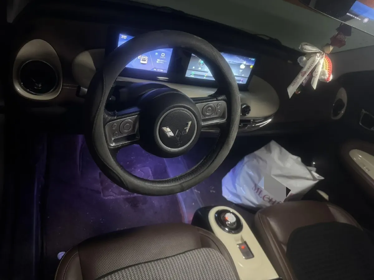 2024 WuLing BinGuo BEV 31.9KWH,autocango,china used car exporter,china ev exporter,chinese used car exporter,chinese used ev exporter