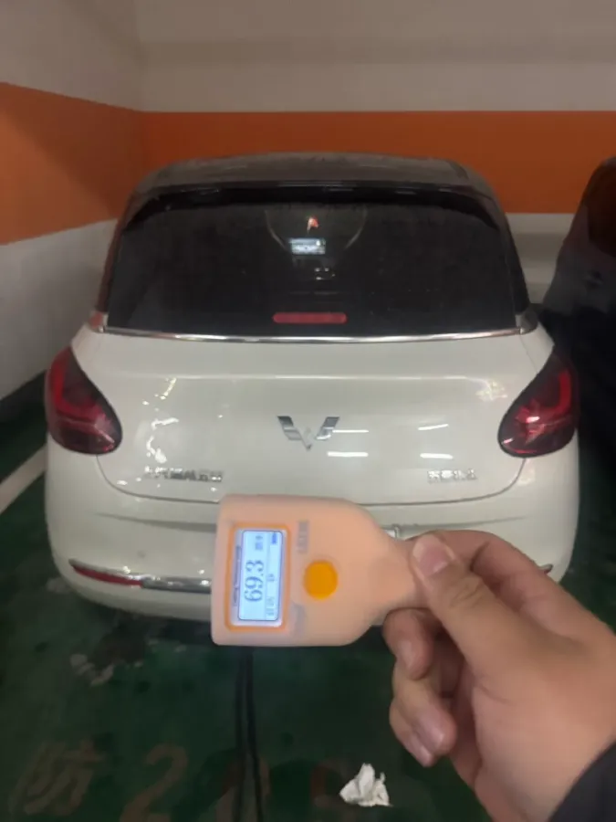 2024 WuLing BinGuo BEV 31.9KWH,autocango,china used car exporter,china ev exporter,chinese used car exporter,chinese used ev exporter