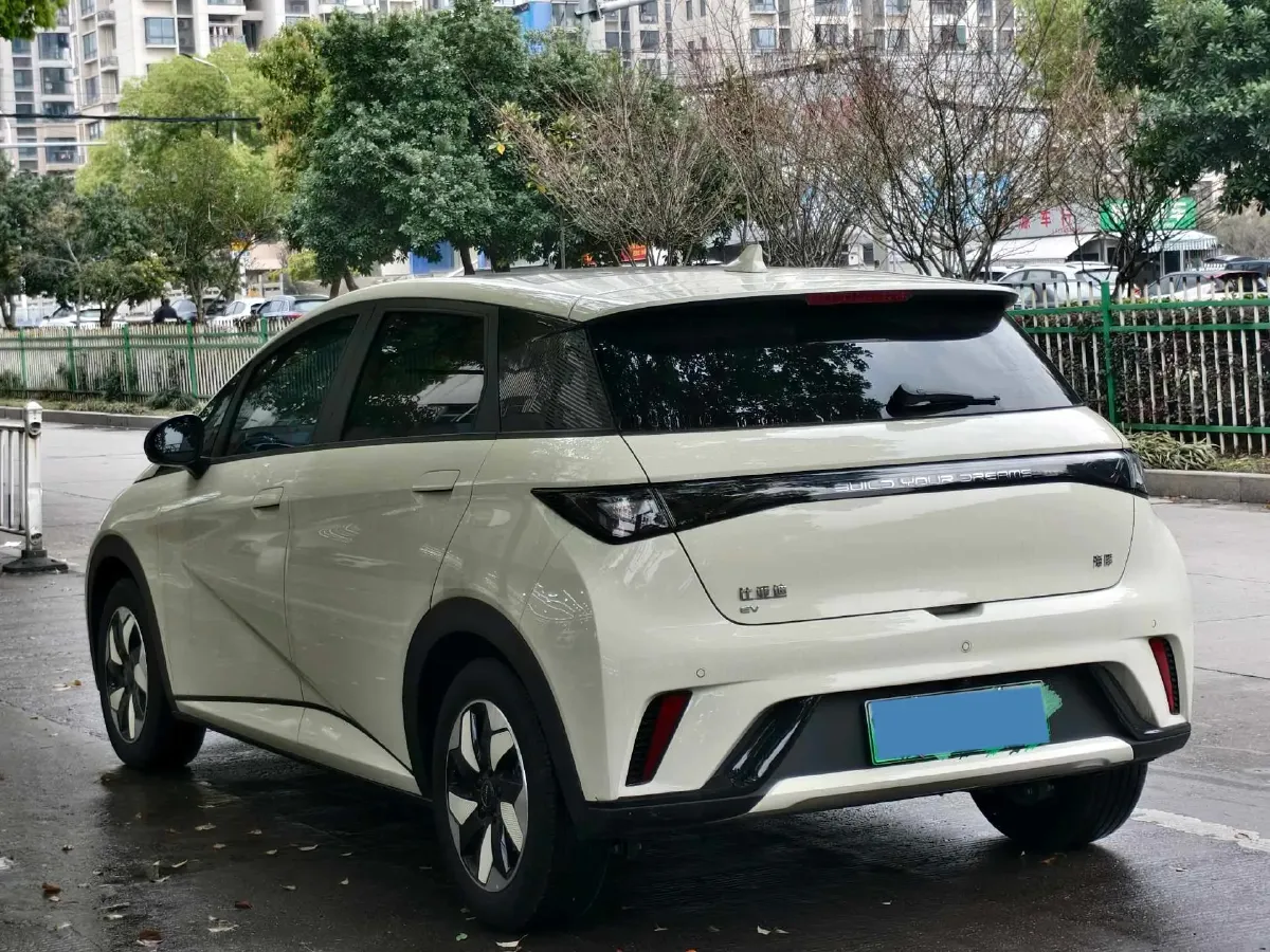 2024 BYD Dolphin BEV 44.928KWH,autocango,china used car exporter,china ev exporter,chinese used car exporter,chinese used ev exporter