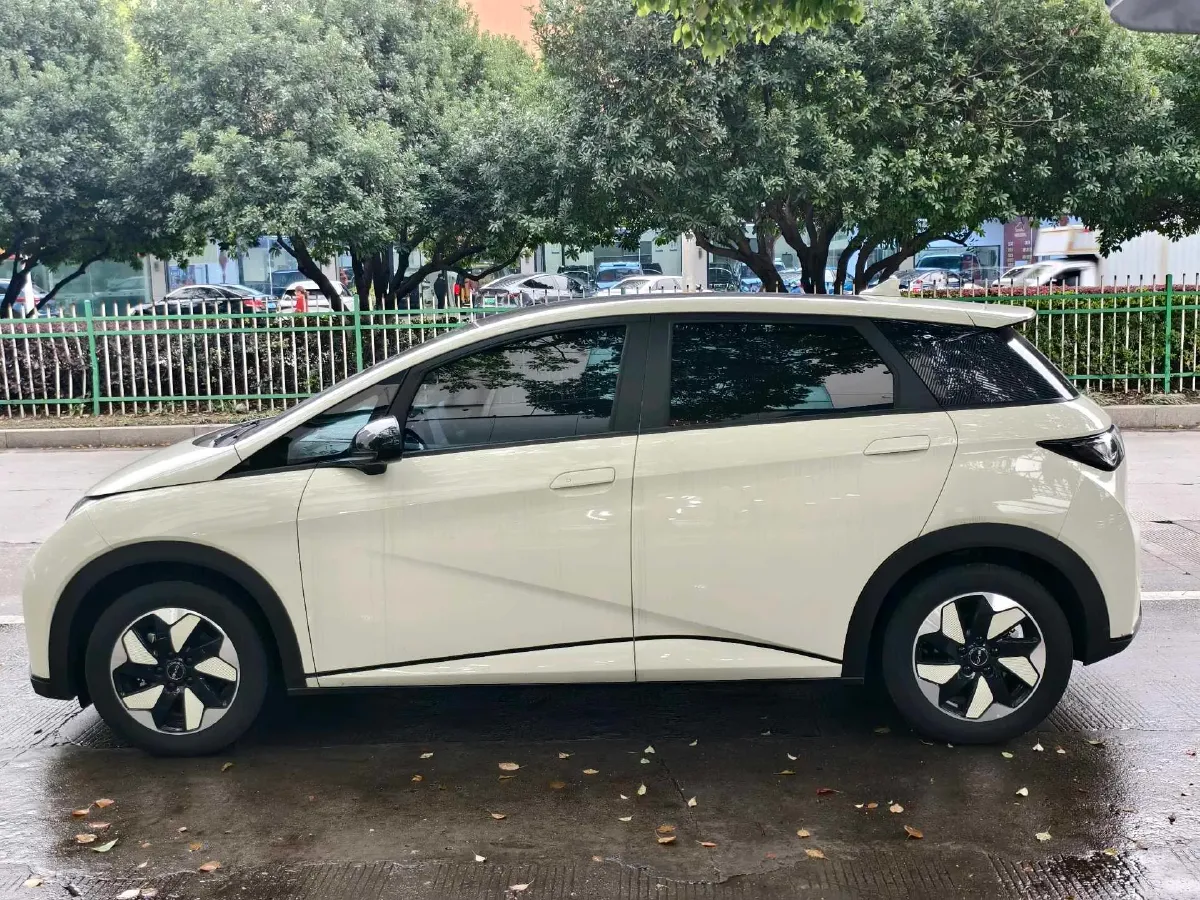 2024 BYD Dolphin BEV 44.928KWH,autocango,china used car exporter,china ev exporter,chinese used car exporter,chinese used ev exporter