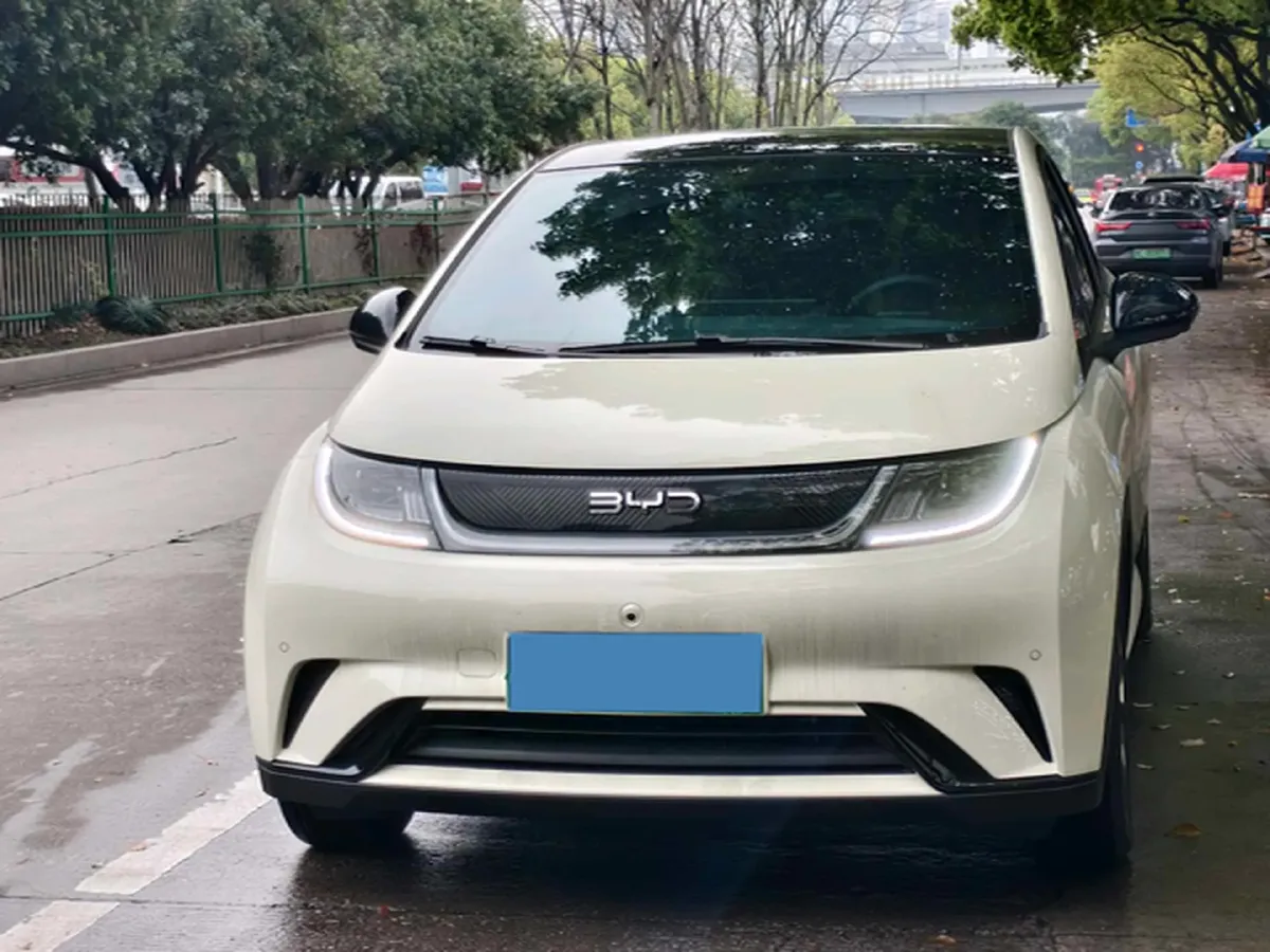 2024 BYD Dolphin BEV 44.928KWH,autocango,china used car exporter,china ev exporter,chinese used car exporter,chinese used ev exporter
