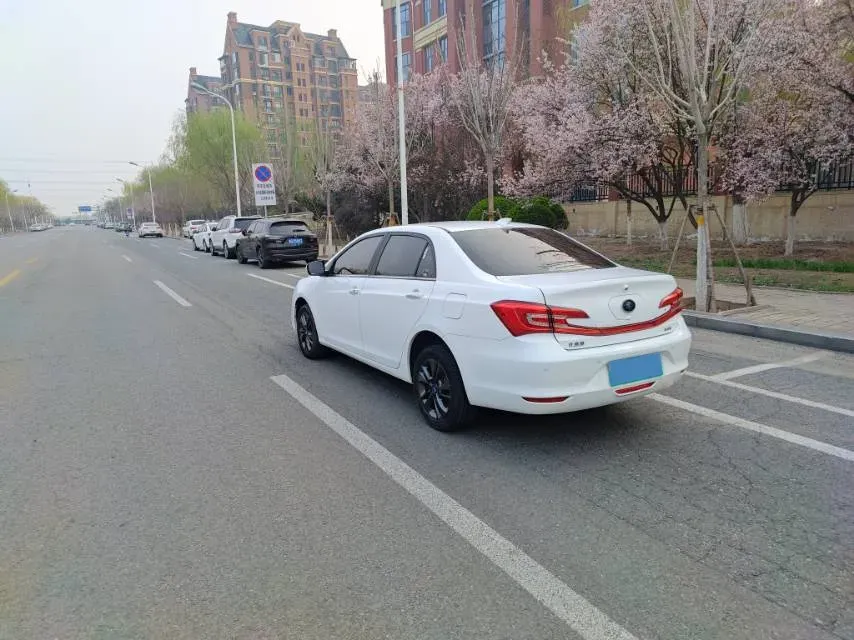 2019 BYD Qin Pro BEV 53.1KWH,autocango,china used car exporter,china ev exporter,chinese used car exporter,chinese used ev exporter