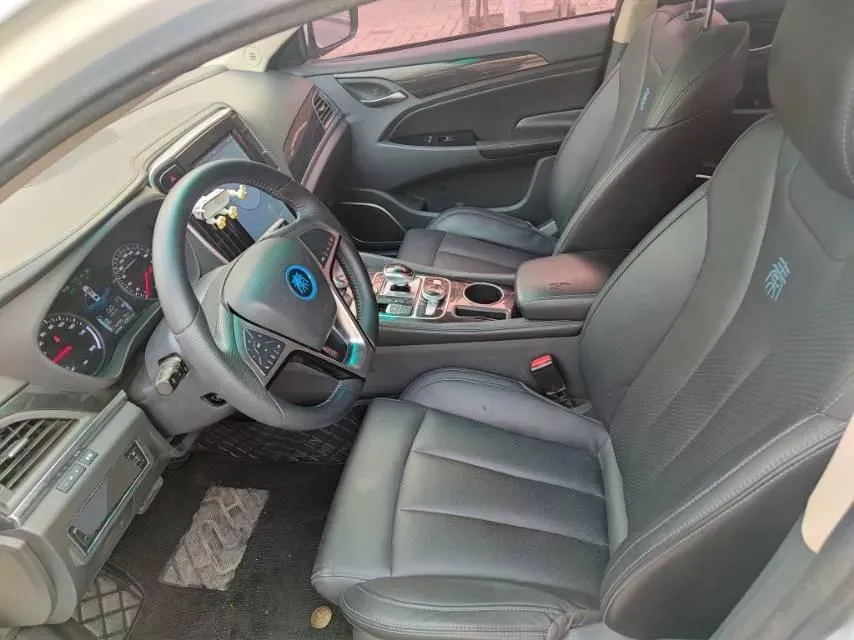 2019 BYD Qin Pro BEV 53.1KWH,autocango,china used car exporter,china ev exporter,chinese used car exporter,chinese used ev exporter