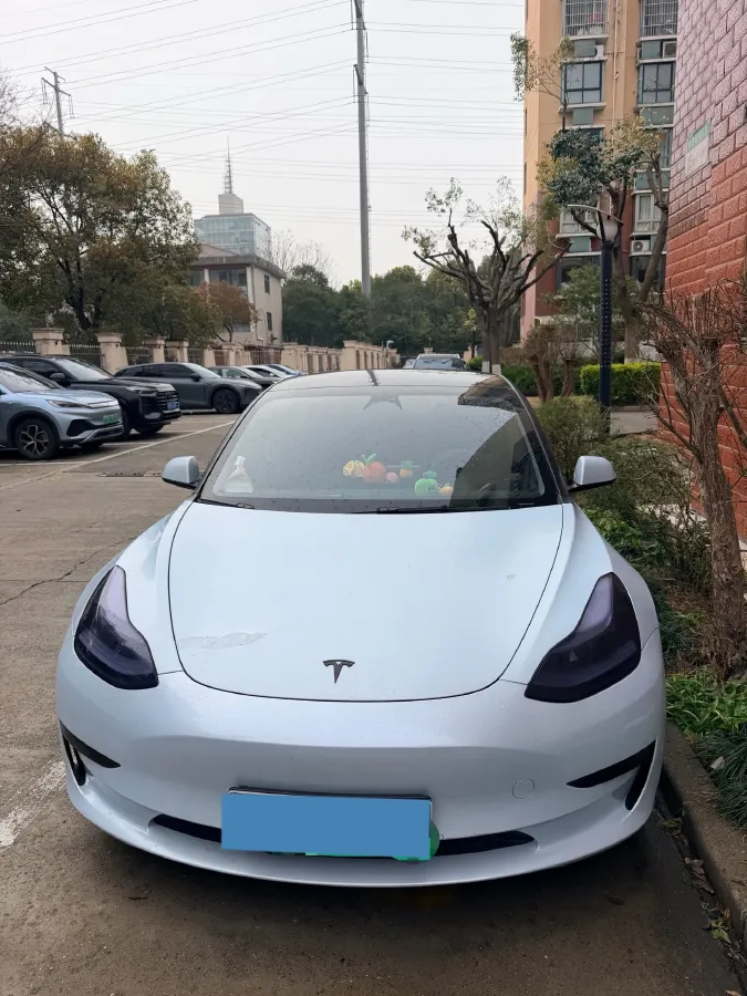 2022 Tesla Model 3 BEV 60KWH,autocango,china used car exporter,china ev exporter,chinese used car exporter,chinese used ev exporter