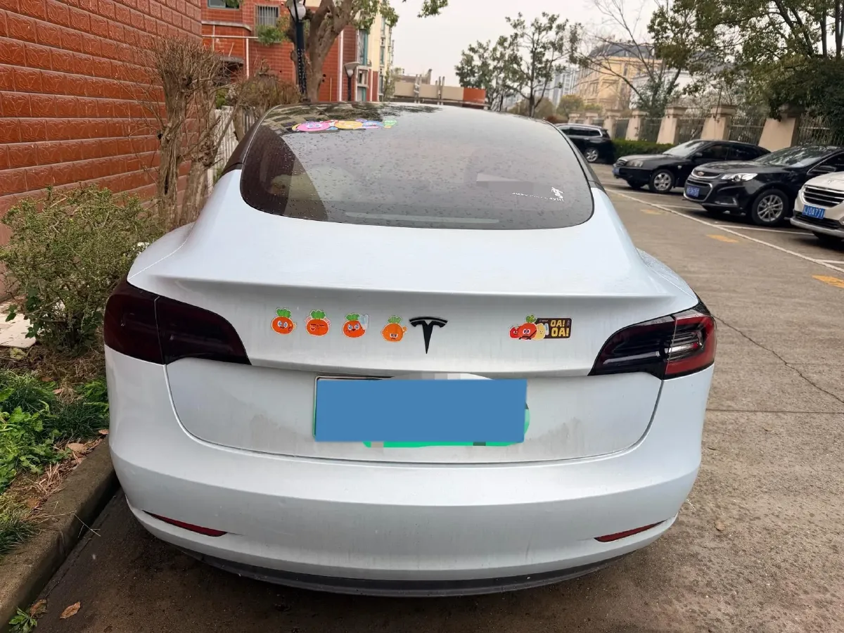 2022 Tesla Model 3 BEV 60KWH,autocango,china used car exporter,china ev exporter,chinese used car exporter,chinese used ev exporter