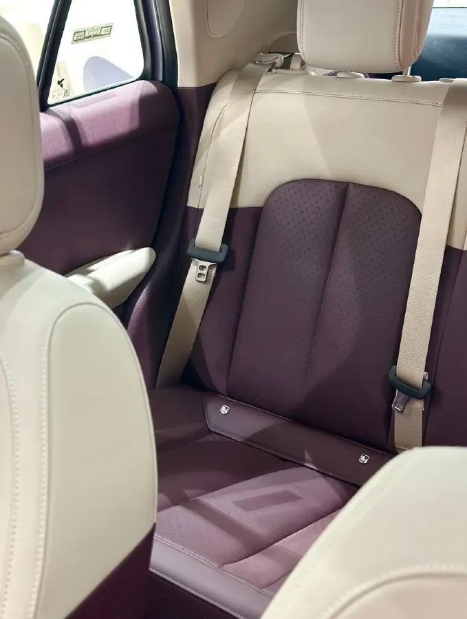 2025 Firefly Firefly BEV,autocango,china used car exporter,china ev exporter,chinese used car exporter,chinese used ev exporter