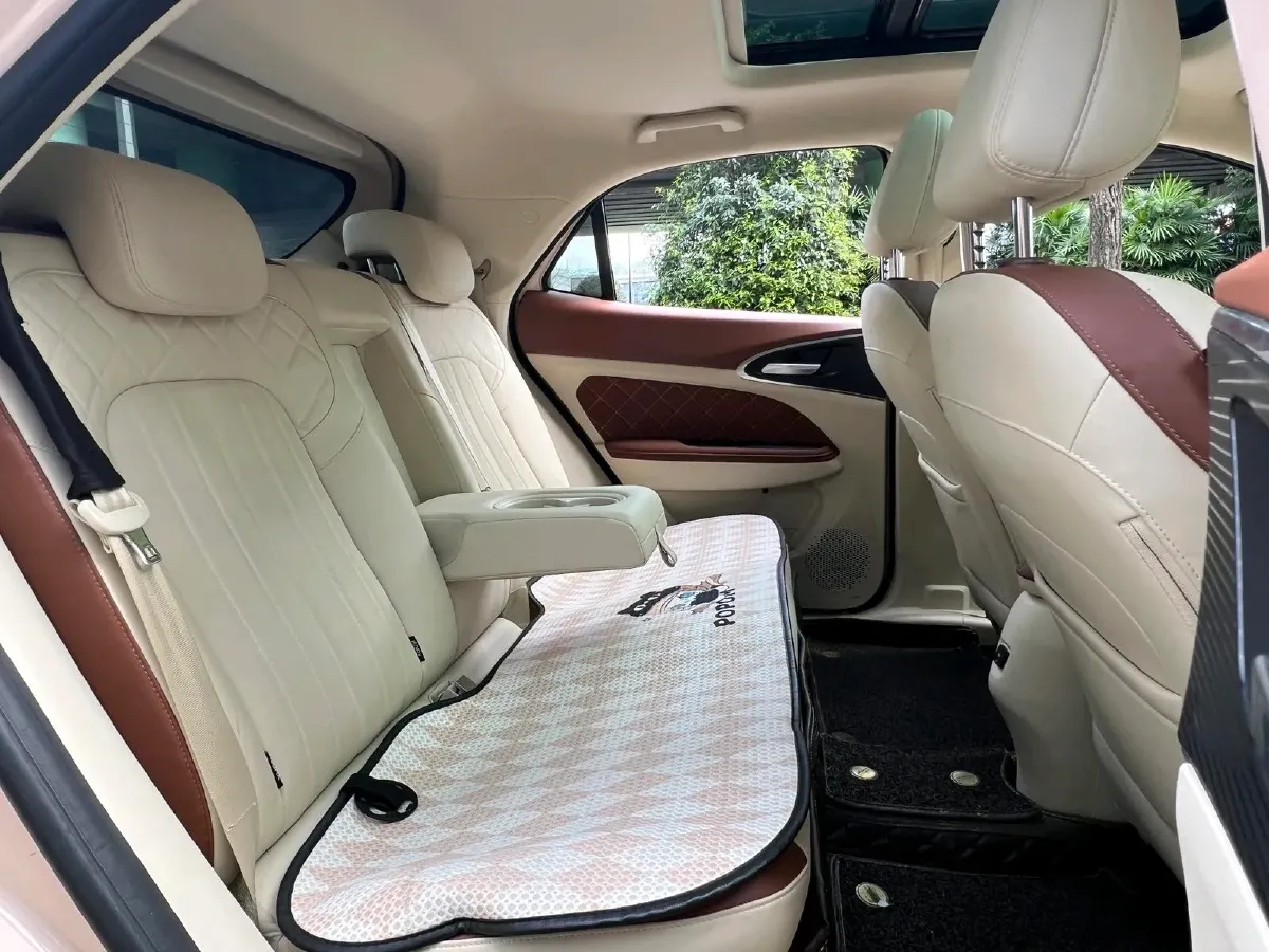 2021 Ora FunkyCat BEV 45.99KWH,autocango,china used car exporter,china ev exporter,chinese used car exporter,chinese used ev exporter