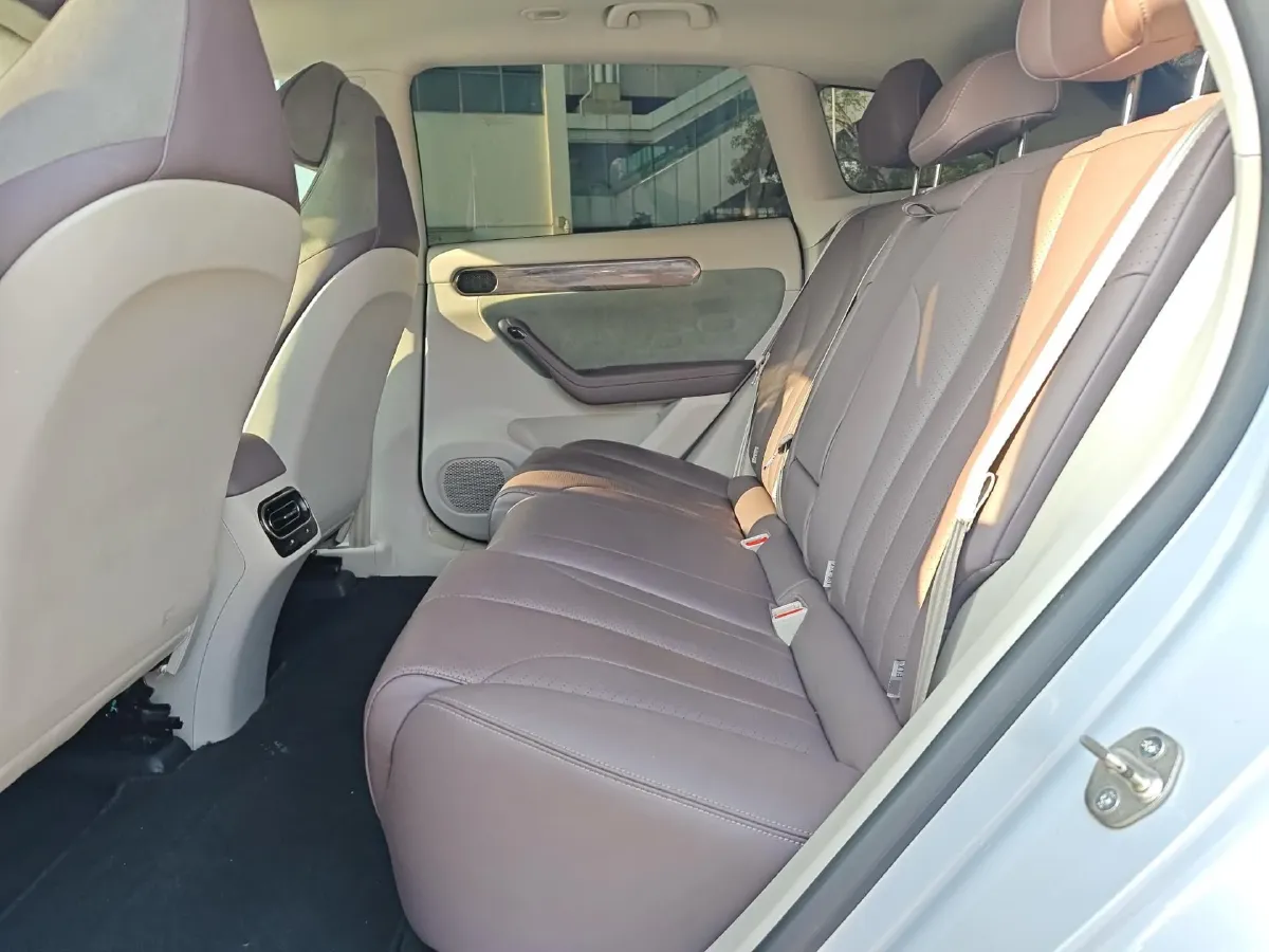 2021 Leapmotor C11 BEV 76.6KWH,autocango,china used car exporter,china ev exporter,chinese used car exporter,chinese used ev exporter