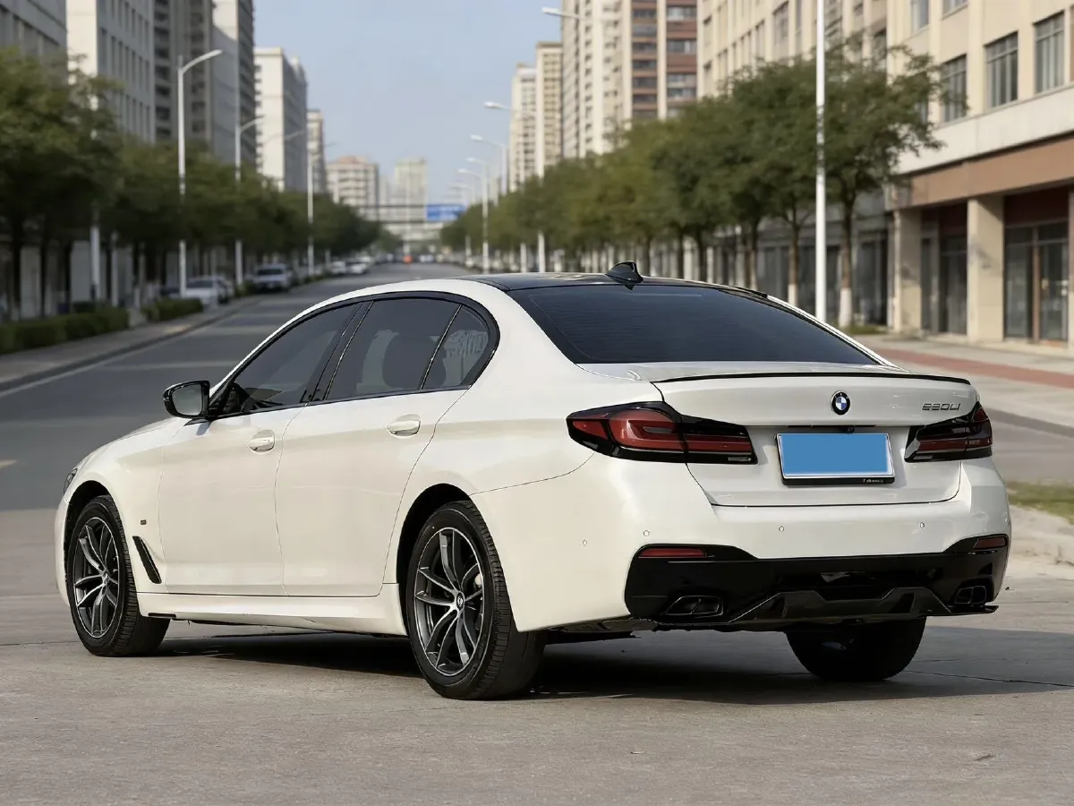 2020 BMW 5 Series 2.0T 252HP L4 8AT,autocango,china used car exporter,china ev exporter,chinese used car exporter,chinese used ev exporter