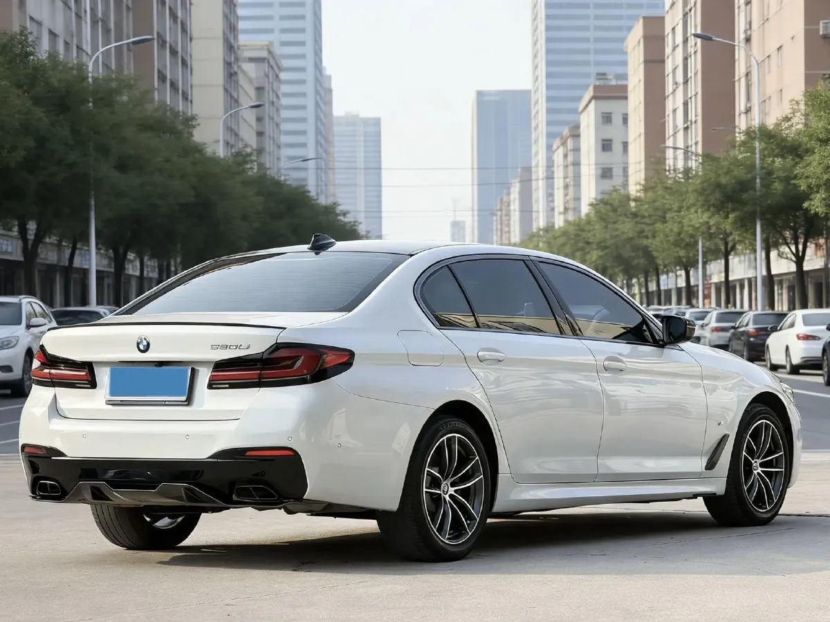 2020 BMW 5 Series 2.0T 252HP L4 8AT,autocango,china used car exporter,china ev exporter,chinese used car exporter,chinese used ev exporter