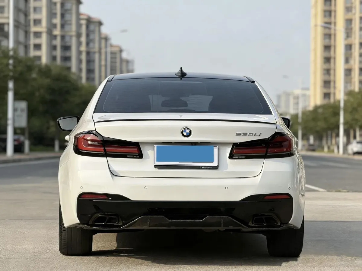 2020 BMW 5 Series 2.0T 252HP L4 8AT,autocango,china used car exporter,china ev exporter,chinese used car exporter,chinese used ev exporter