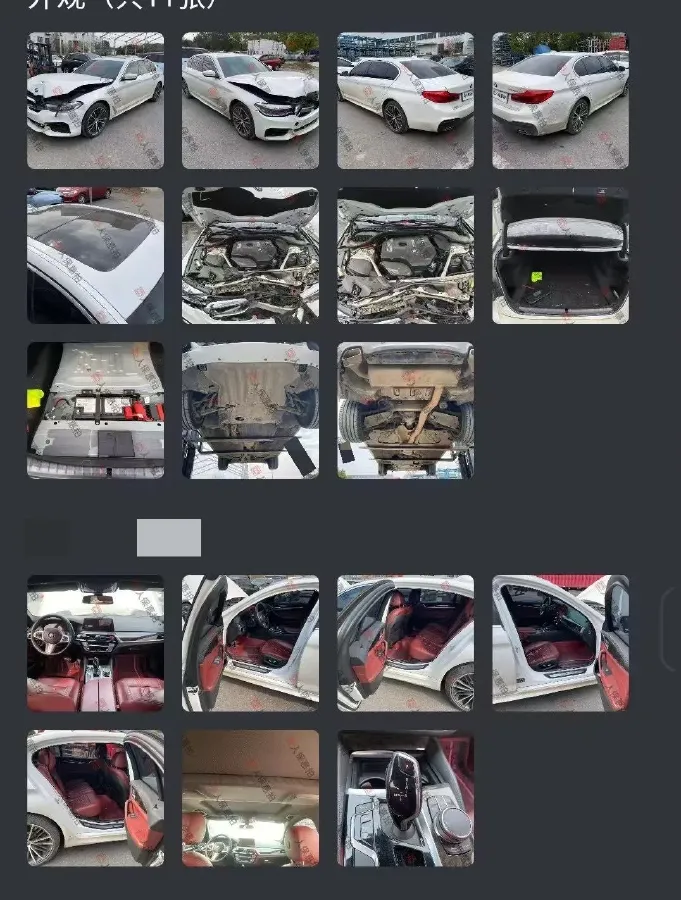 2020 BMW 5 Series 2.0T 252HP L4 8AT,autocango,china used car exporter,china ev exporter,chinese used car exporter,chinese used ev exporter