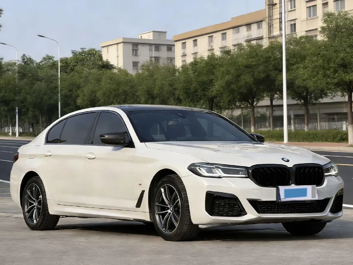 2020 BMW 5 Series 2.0T 252HP L4 8AT,autocango,china used car exporter,china ev exporter,chinese used car exporter,chinese used ev exporter