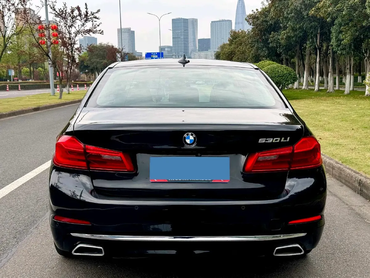 2020 BMW 5 Series 2.0T 184HP L4 8AT,autocango,china used car exporter,china ev exporter,chinese used car exporter,chinese used ev exporter