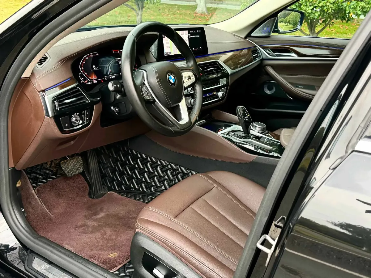 2020 BMW 5 Series 2.0T 184HP L4 8AT,autocango,china used car exporter,china ev exporter,chinese used car exporter,chinese used ev exporter