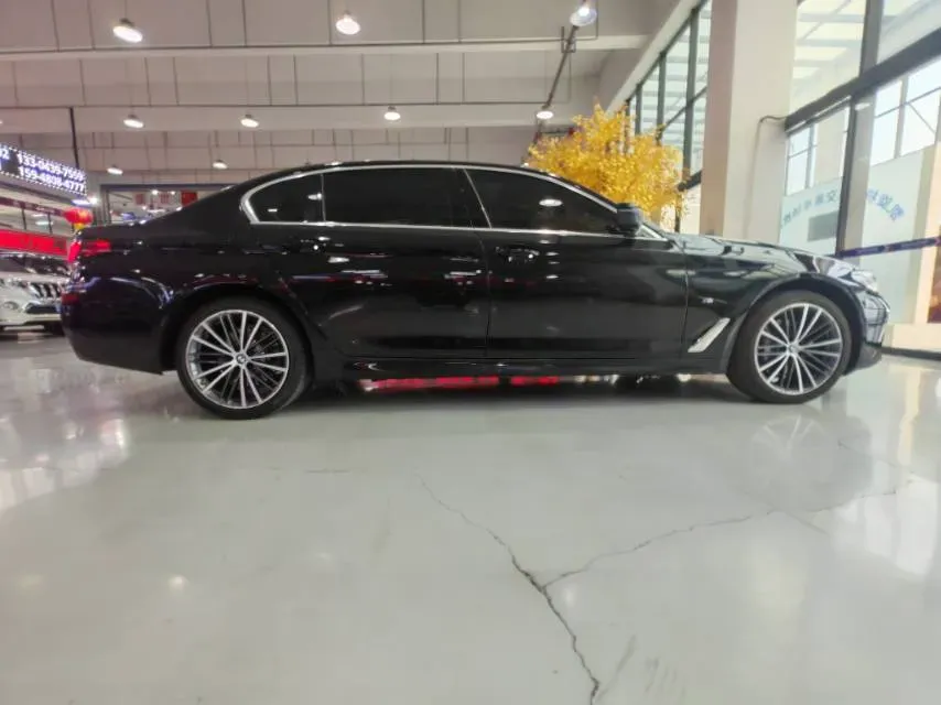 2021 BMW 5 Series 2.0T 252HP L4 8AT,autocango,china used car exporter,china ev exporter,chinese used car exporter,chinese used ev exporter