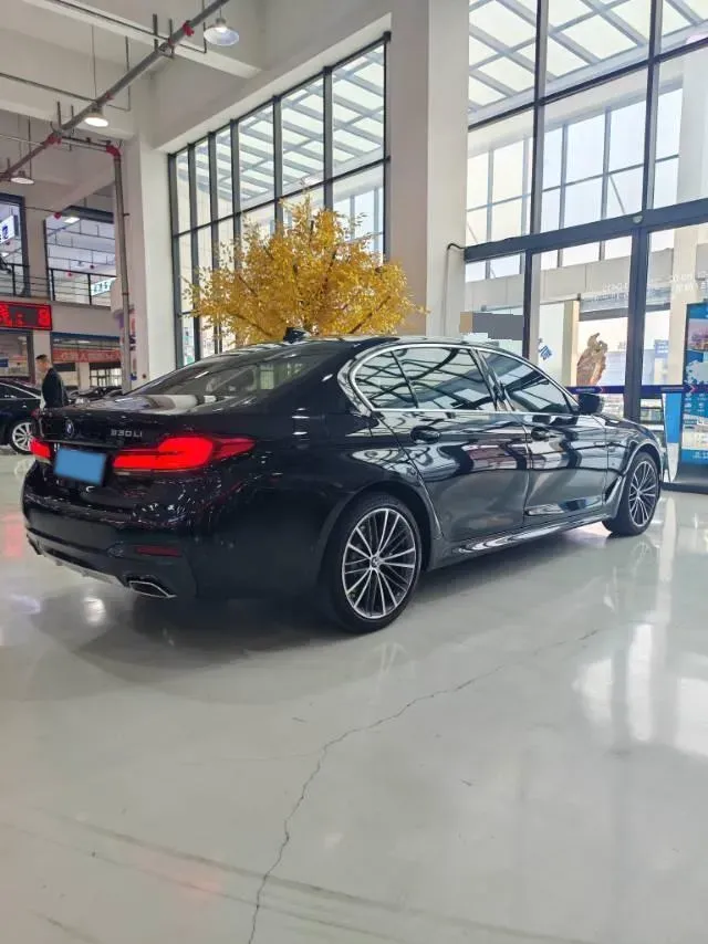 2021 BMW 5 Series 2.0T 252HP L4 8AT,autocango,china used car exporter,china ev exporter,chinese used car exporter,chinese used ev exporter